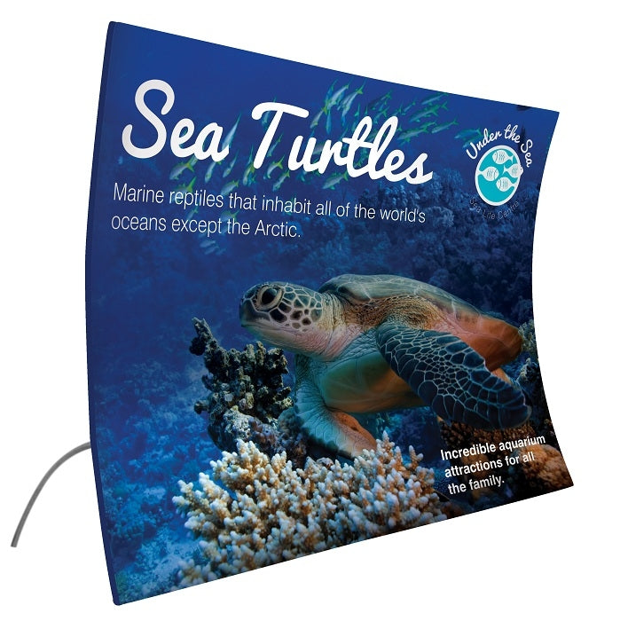 Formulate Tischdisplay inkl. Digitaldruck - modularedisplays.com