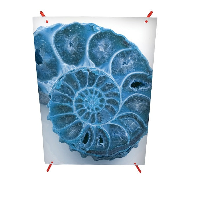 Mini X Bannerdisplay inkl. Digitaldruck - modularedisplays.com